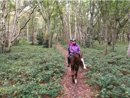 Suffolk Cross Country Ride